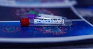 covid-19, coronavirus, quarantine, protection, disease, test, covid-19, covid-19, covid-19, covid-19, covid-19, coronavirus, coronavirus, coronavirus, quarantine, quarantine, test